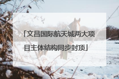 文昌国际航天城两大项目主体结构同步封顶